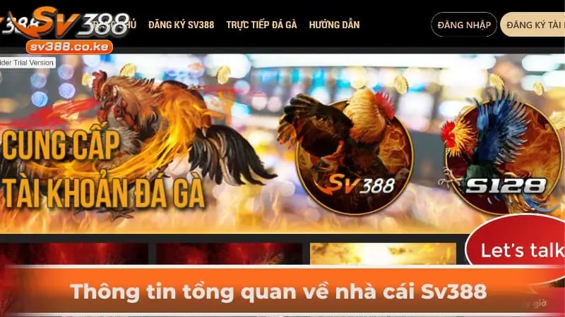 Thông tin tổng quan về nhà cái Sv388 